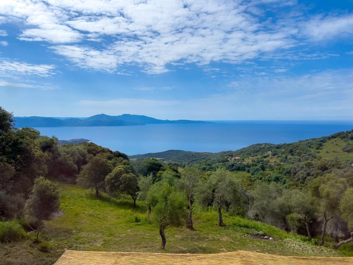La Pampa Cargese Chambres D Hotes Εξωτερικό φωτογραφία