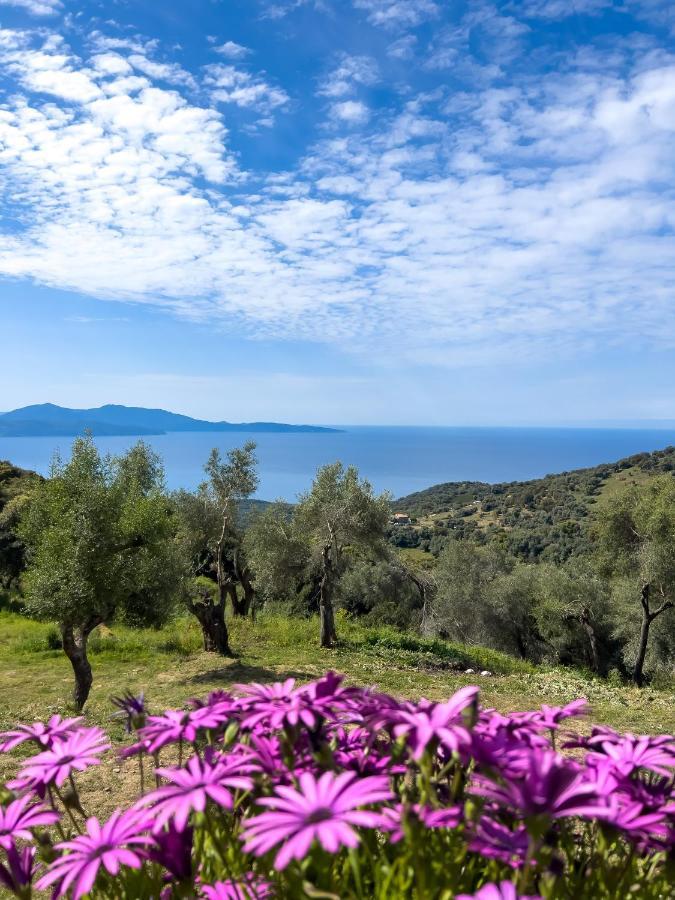 La Pampa Cargese Chambres D Hotes Εξωτερικό φωτογραφία