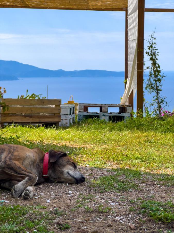 La Pampa Cargese Chambres D Hotes Εξωτερικό φωτογραφία