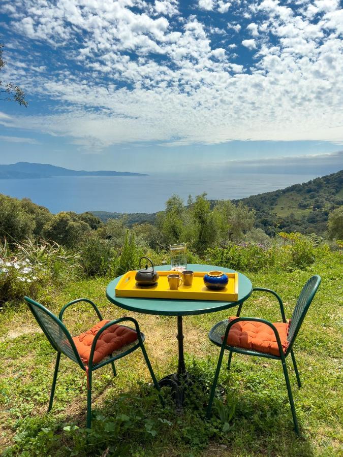 La Pampa Cargese Chambres D Hotes Εξωτερικό φωτογραφία